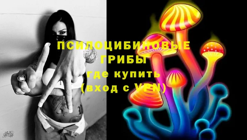 MEGA рабочий сайт  Данков  Галлюциногенные грибы Magic Shrooms 